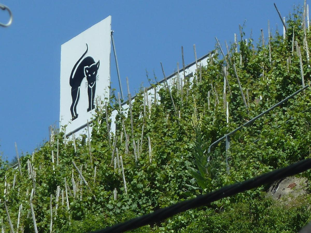 Roemerhaeuschen Zell Buitenkant foto